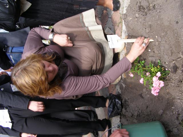 Літературне паломництво у Піски ( трояндочка!.JPG)